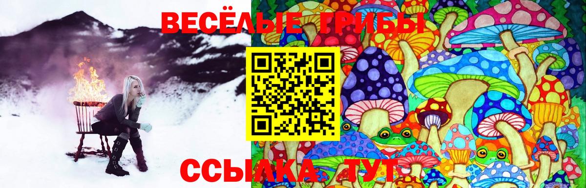 Галлюциногенные грибы ЛСД Гагарин